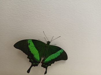 IMG20260521095930
