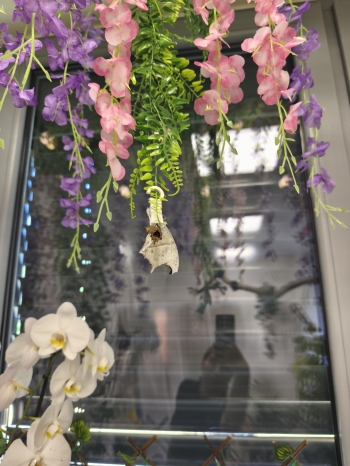 IMG_20260519_090750