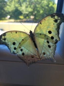 20260525_131527