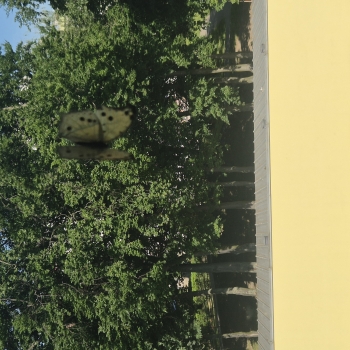20260522_092459