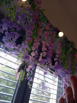 IMG_20260521_124752