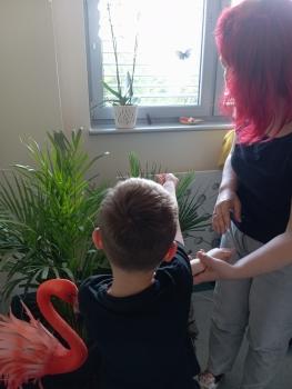 IMG_20260521_124909