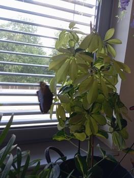 IMG_20260521_125055