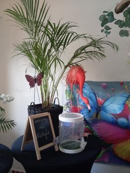 IMG_20260521_125301