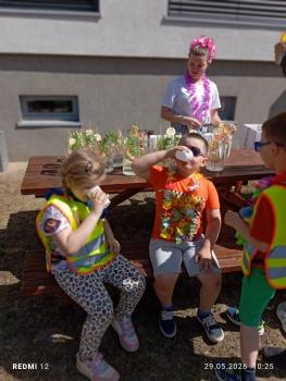 IMG_20260529_102539