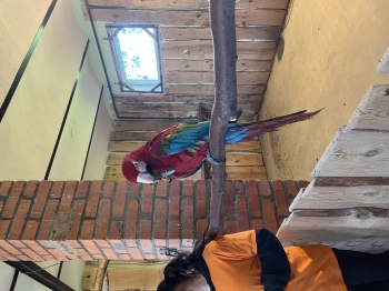 IMG_9864.jpeg