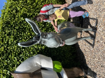 IMG_9893.jpeg