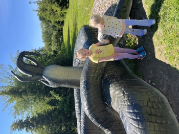 IMG_9909.jpeg