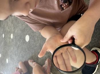 IMG_6135.jpeg