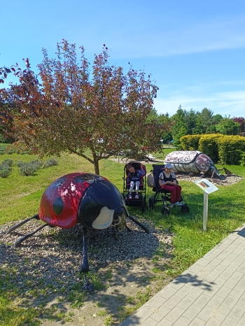 IMG_20260520_104743