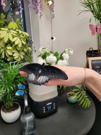 received_1493487692160718.jpeg