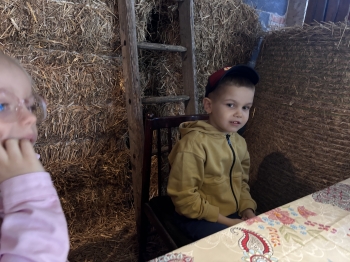 IMG_4533.jpeg