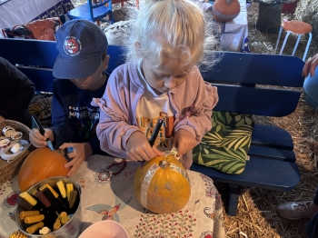 IMG_4537.jpeg