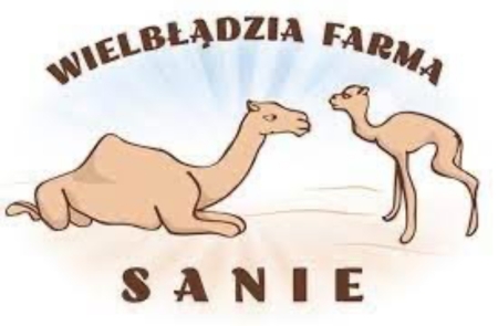 Wielbłądy w Saniach:)