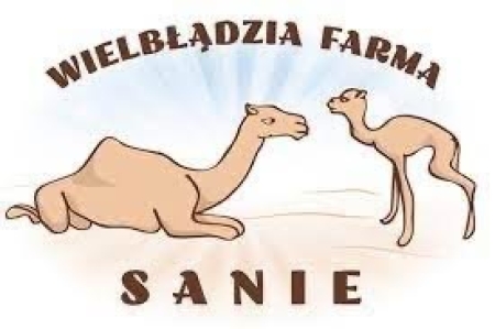 Wielbłądzia Farma Sanie 