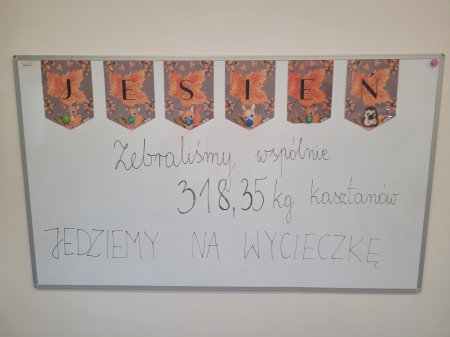 Zakończenie akcji zbierania kasztanów