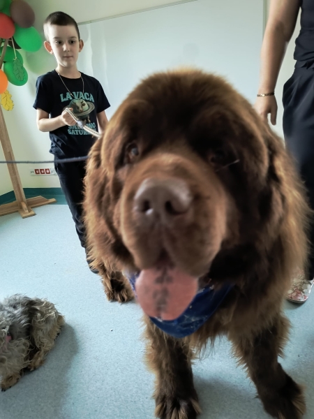 Dogoterapia czyli odwiedziny piesków 