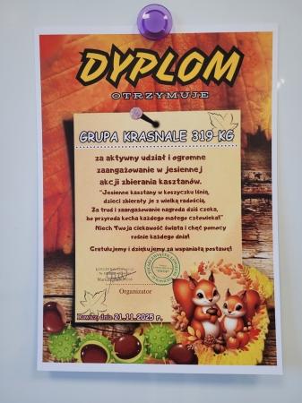 Polski Związek Łowiecki- oficjalne gratulacje  za 1 miejsce w zbiorce kasztanów ...