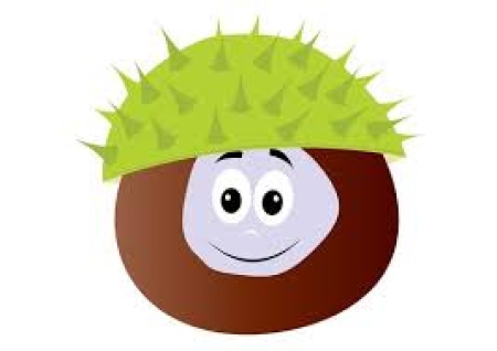 Akcja zbierania kasztanów