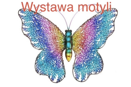 Kolorowy świat motyli.