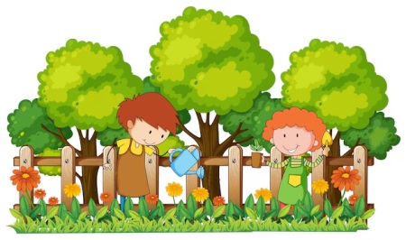 Doniczkowy ogródek:)