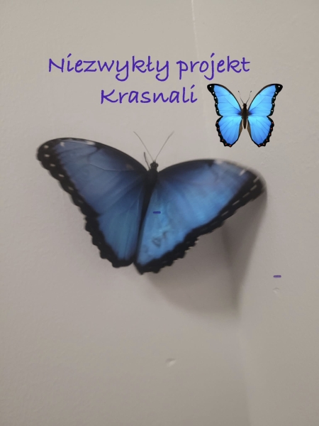 Niezwykły projekt grupy Krasnale.