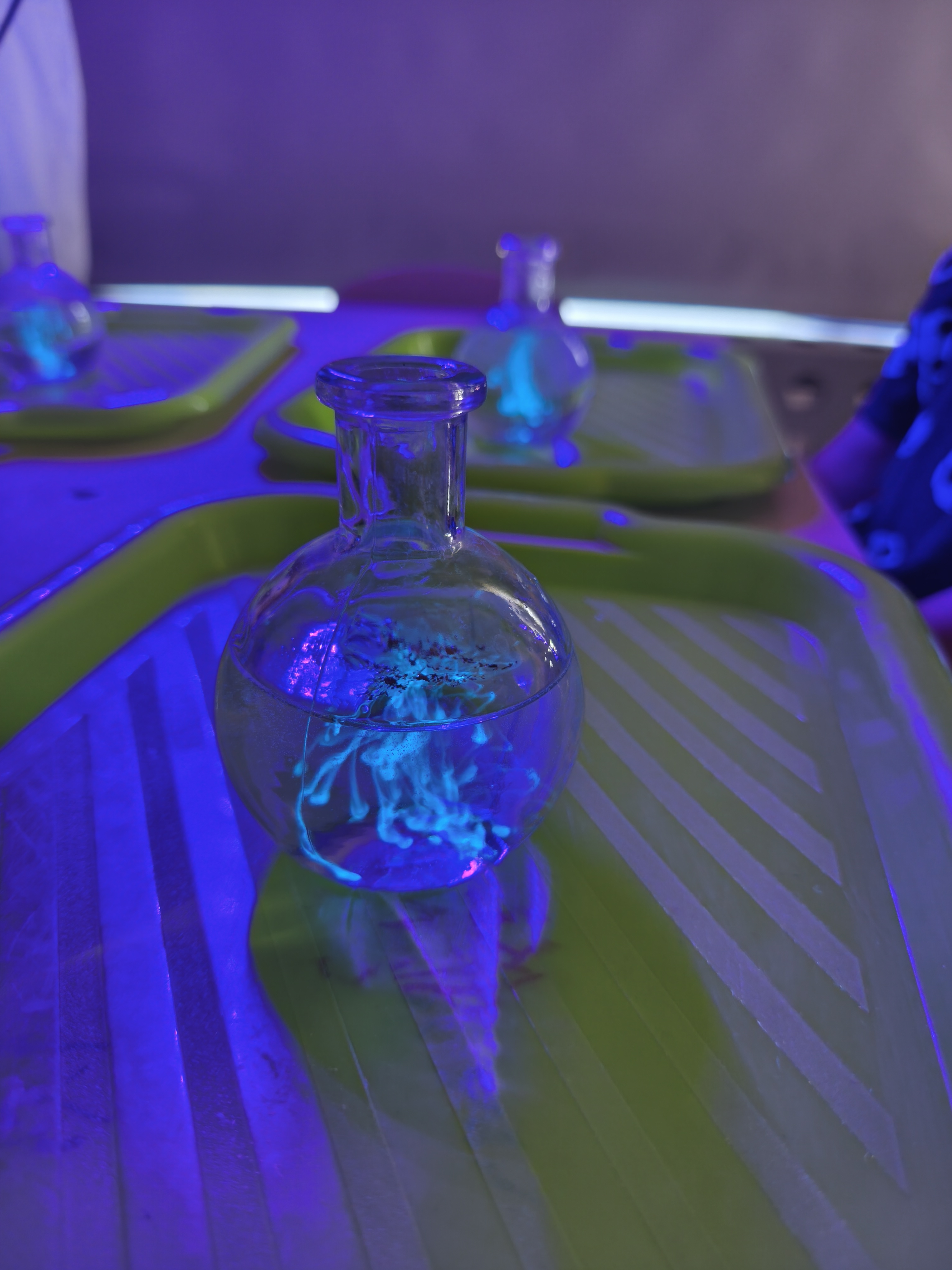 Eksperymenty z Bio-Art